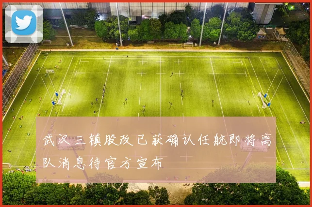 武汉三镇股改已获确认任航即将离队消息待官方宣布